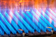 Trevalgan gas fired boilers